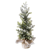 Denneboom jutte L - (BO-2051952)